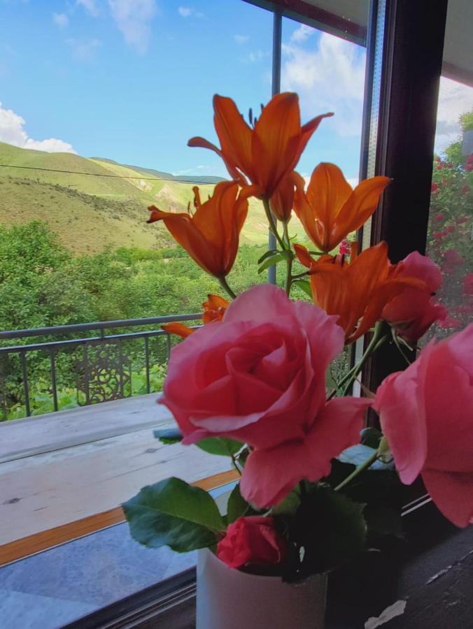 Guesthouse Mtkvari Nakalakevi Dış mekan fotoğraf