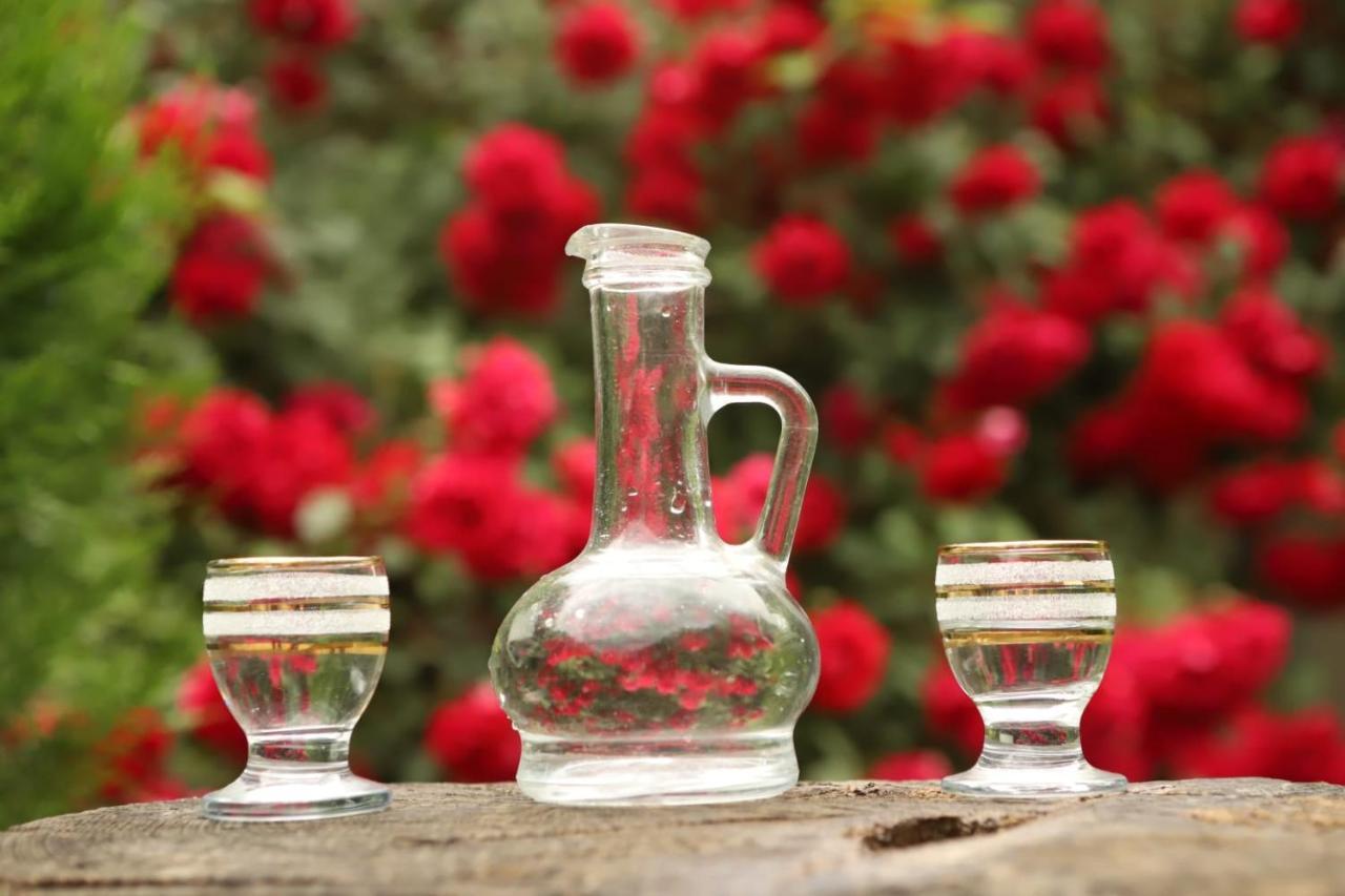Guesthouse Mtkvari Nakalakevi Dış mekan fotoğraf