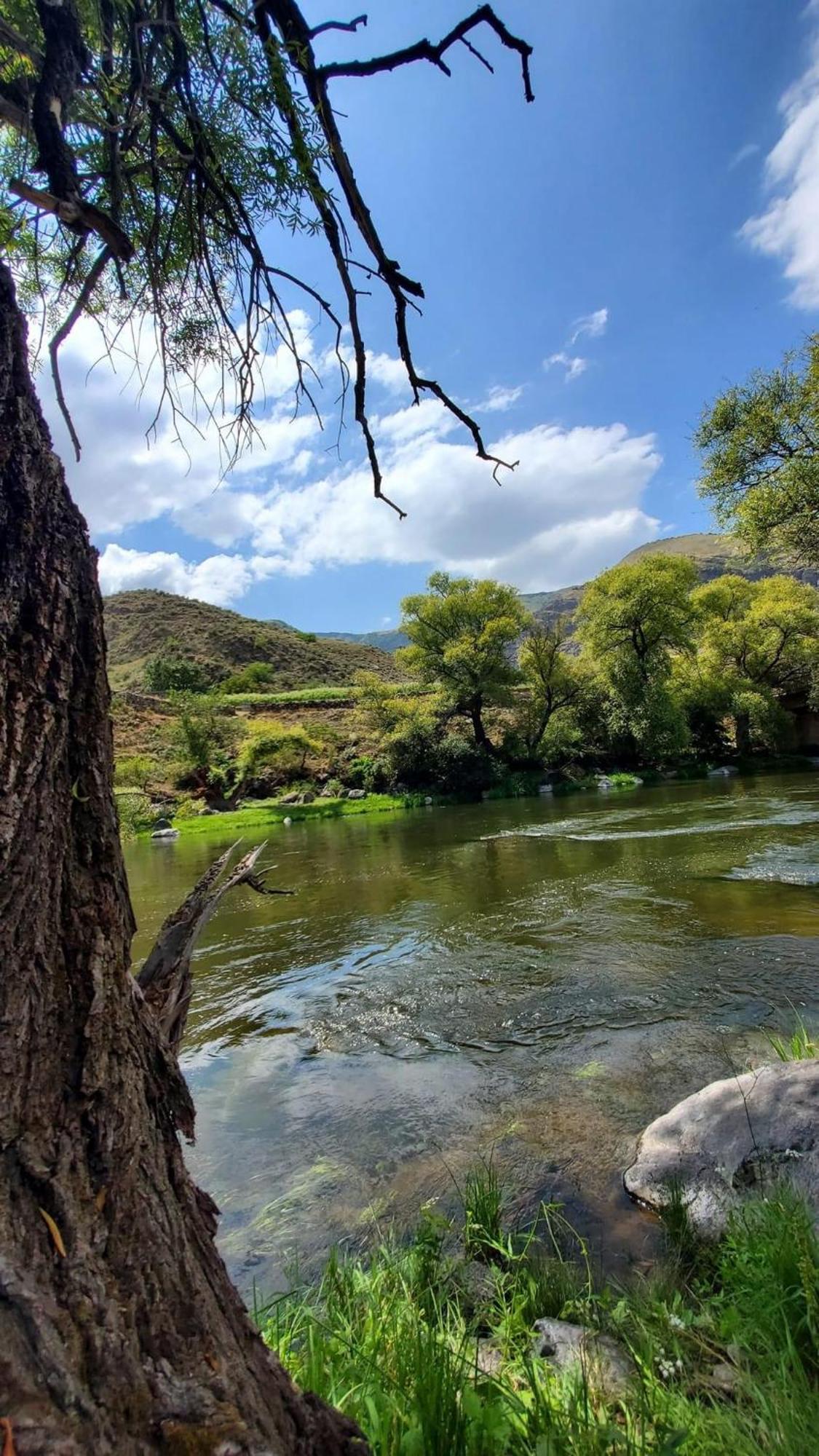 Guesthouse Mtkvari Nakalakevi Dış mekan fotoğraf