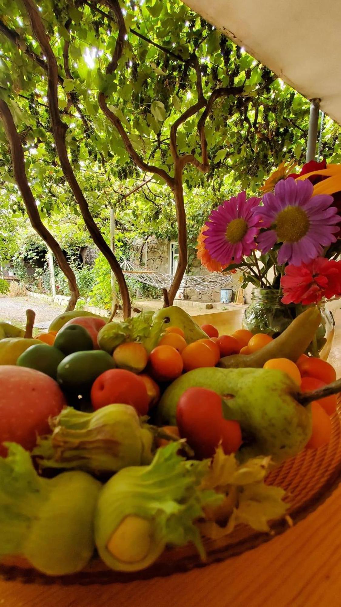Guesthouse Mtkvari Nakalakevi Dış mekan fotoğraf